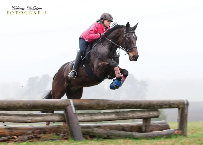Apartment Landblick *